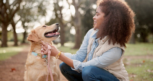 A Pawsitive Impact: How Our Pets Can Help Us Thrive